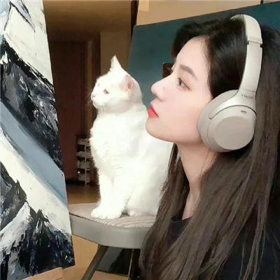 情感剧情